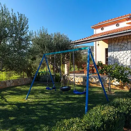 Olive Tree Near Trogir And Split Kaštel Štafilić